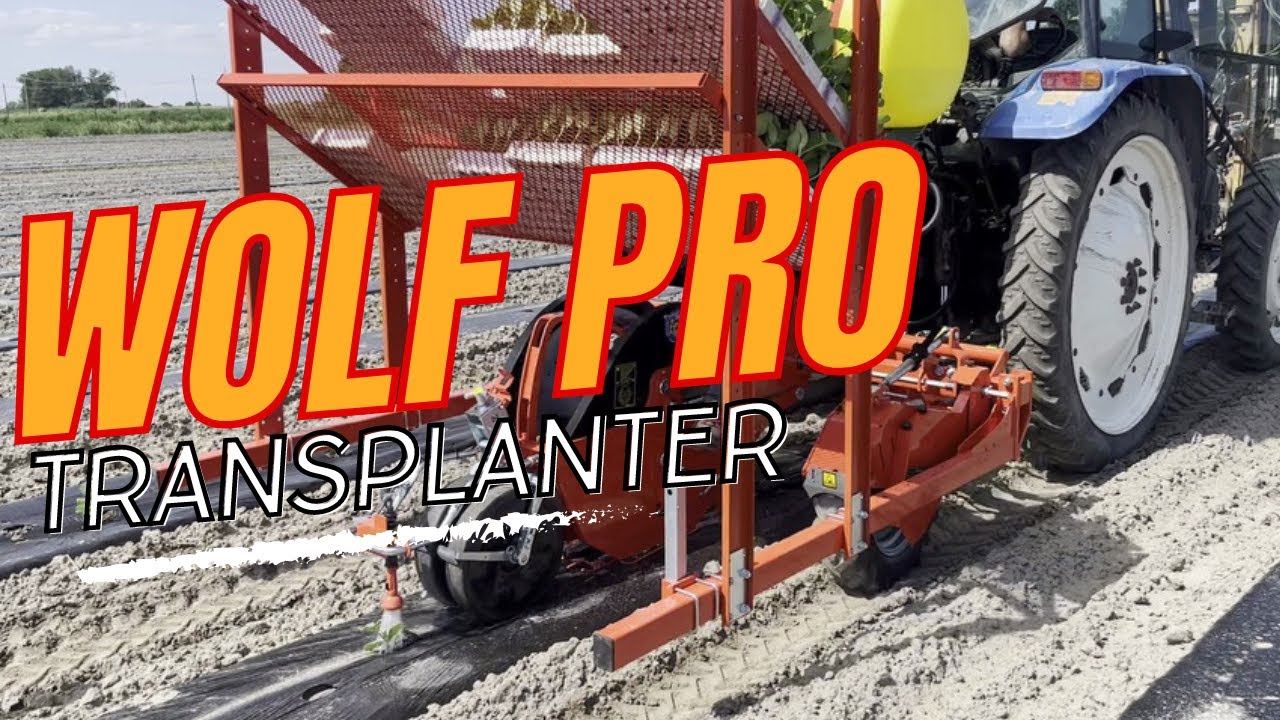 The Wolf Pro | Checchi and Magli