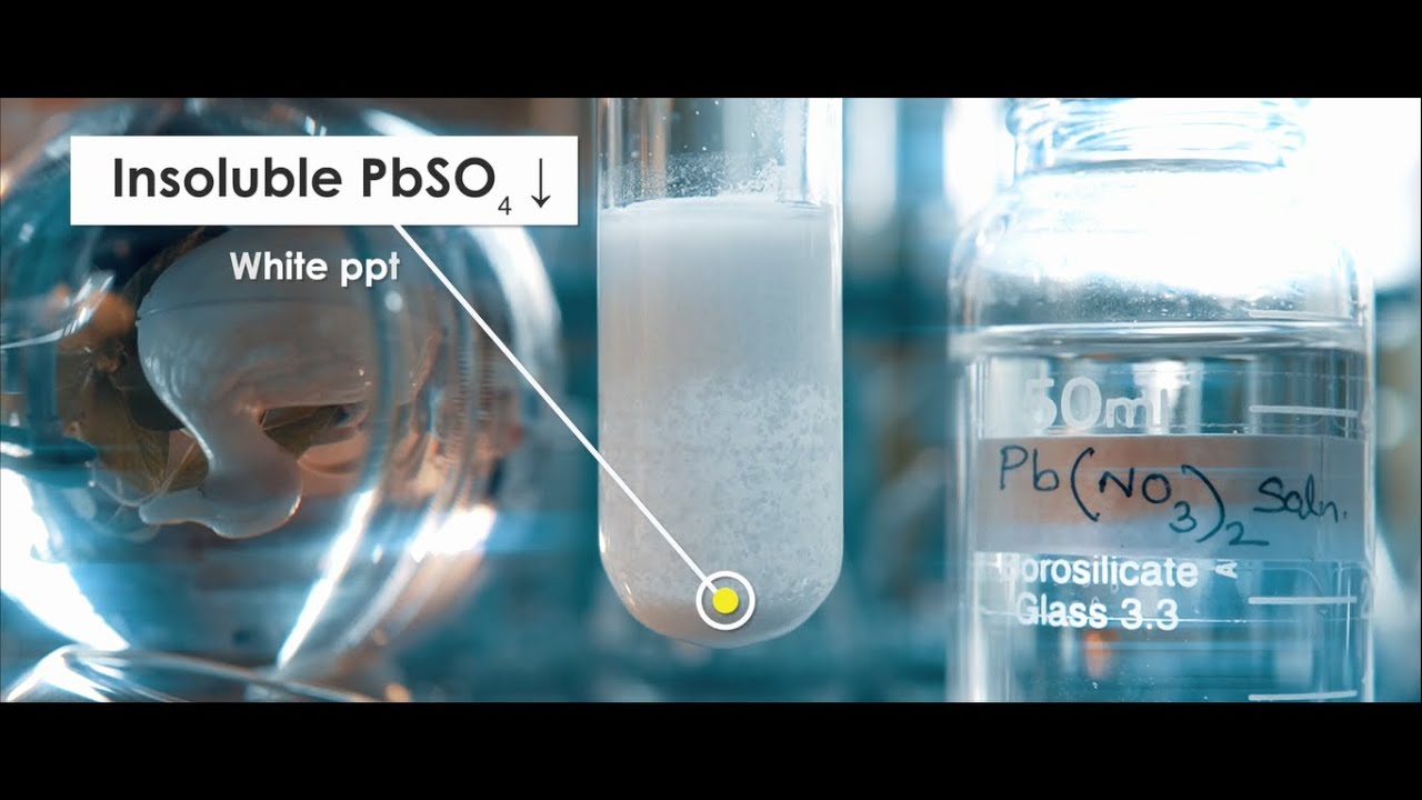 Double displacement Zinc sulphate (ZnSO4) + lead nitrate Pb(NO3)2 | Pb(NO3)2+ZnSO4&nbsp;&rarr;&nbsp;PbSO4+Zn(NO3)2