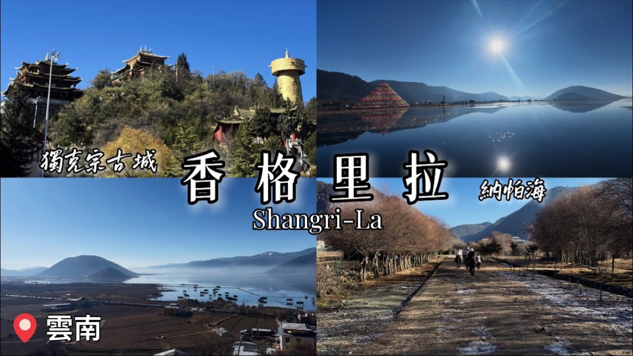 【雲南香格里拉】來到了藏族世界·納帕海/獨克宗古城美到像仙境｜小資女孩sayhello#旅行 #travel #國外旅遊 