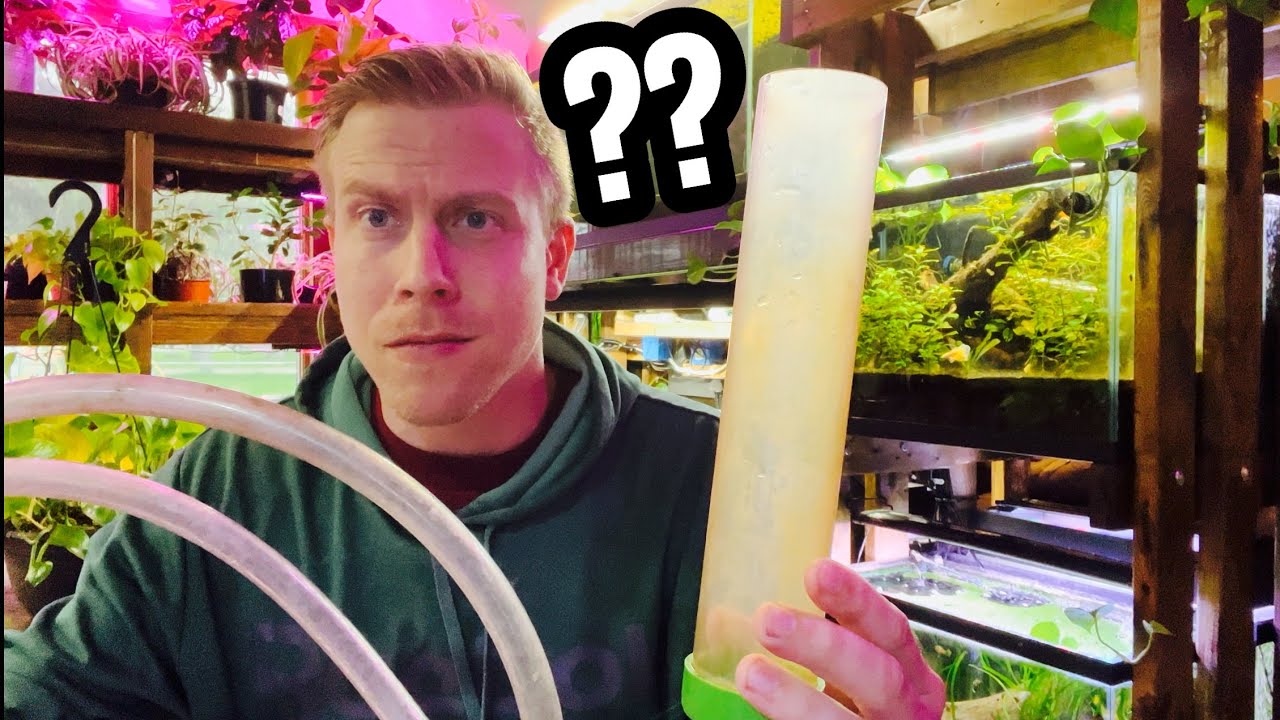 HOW TO: Aquarium Water Change the EASY WAY
