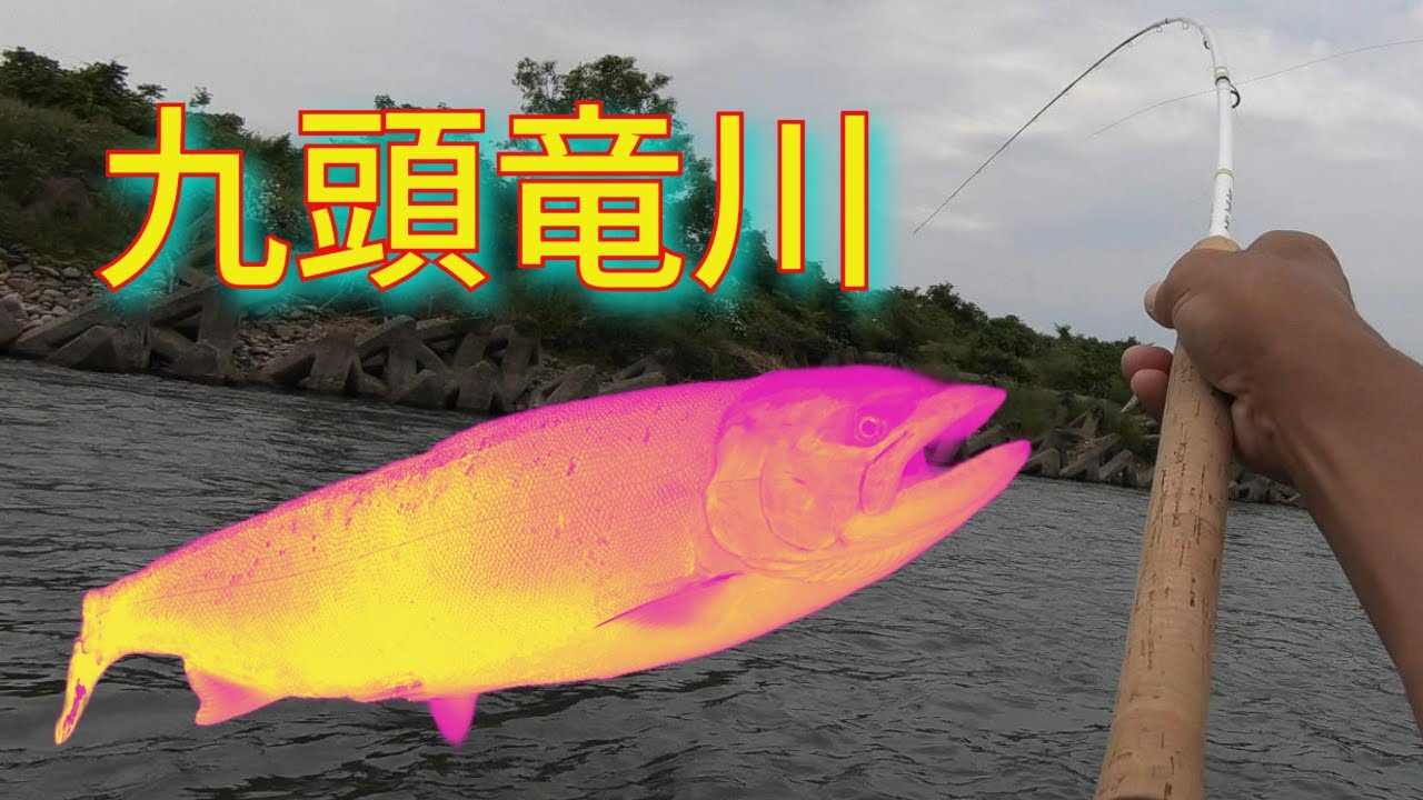 禁漁間際の九頭竜川へ行ってみた　#フライフィッシング  #サクラマス  #スペイフィッシング