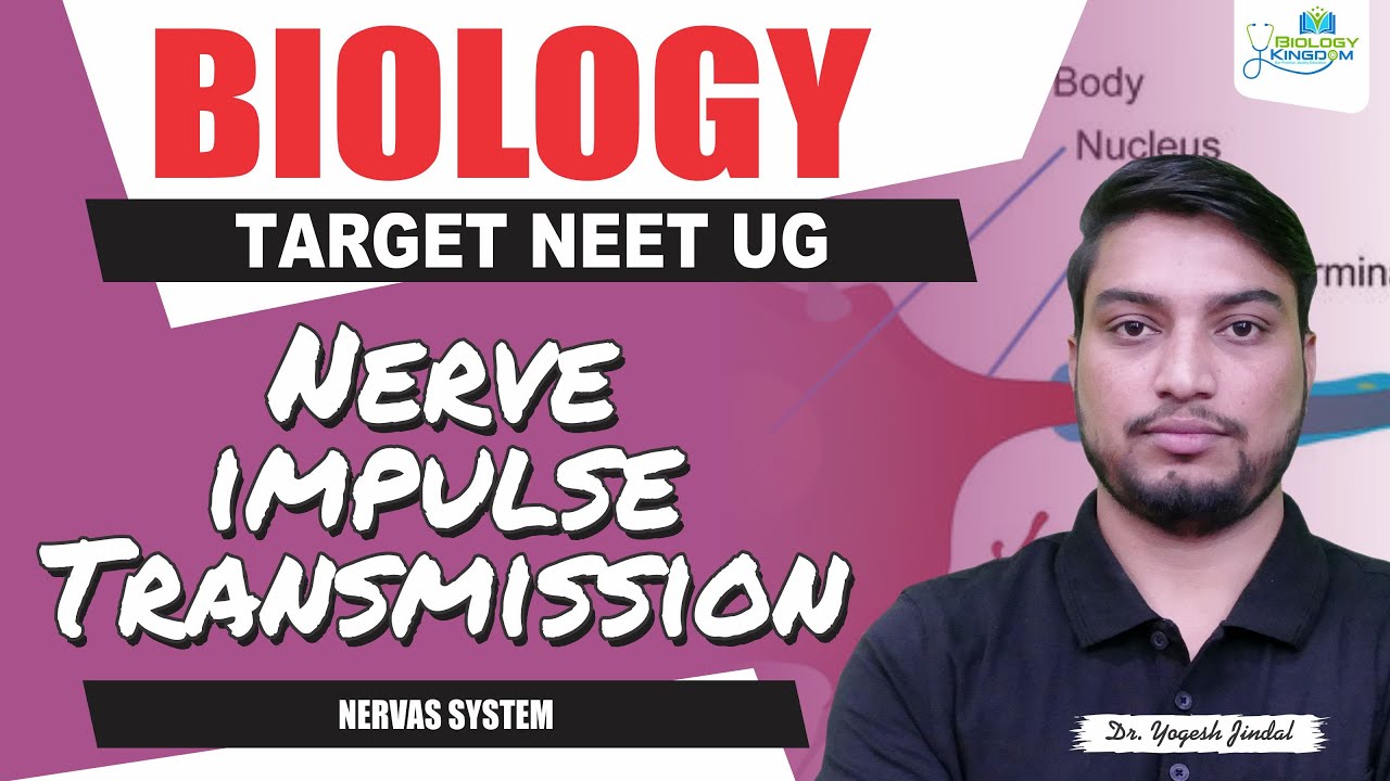 Mechanism of Nerve Impulse Conduction | Neural Control & Coordination | Biology | NEET UG 2026 | Dr.