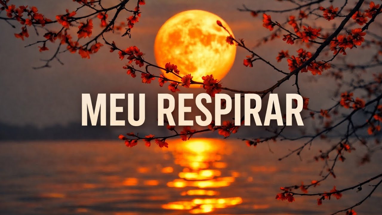 INSTRUMENTAL WORSHIP | FUNDO MUSICAL | PIANO | ORAÇÃO e MEDITAÇÃO - MEU RESPIRAR. #worship #louvor 
