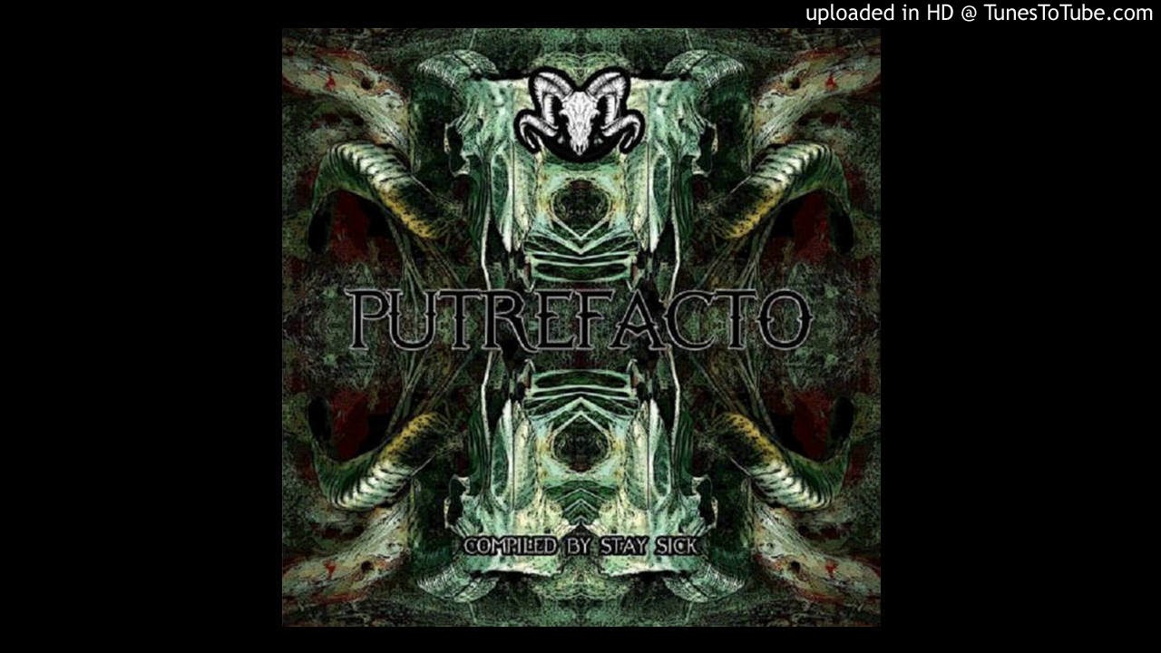 02 - NECRO MUSHROOM - NECROSIS CEREBRAL 200BPM
