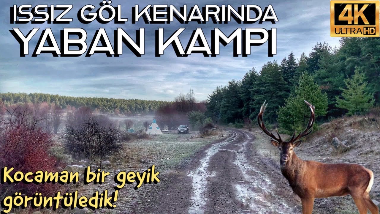 Issız Bir Göl Kenarında Kış Kampı - Kocaman Bir Kızıl Geyik Görüntüledik - Sobalı Çadırda Kamp