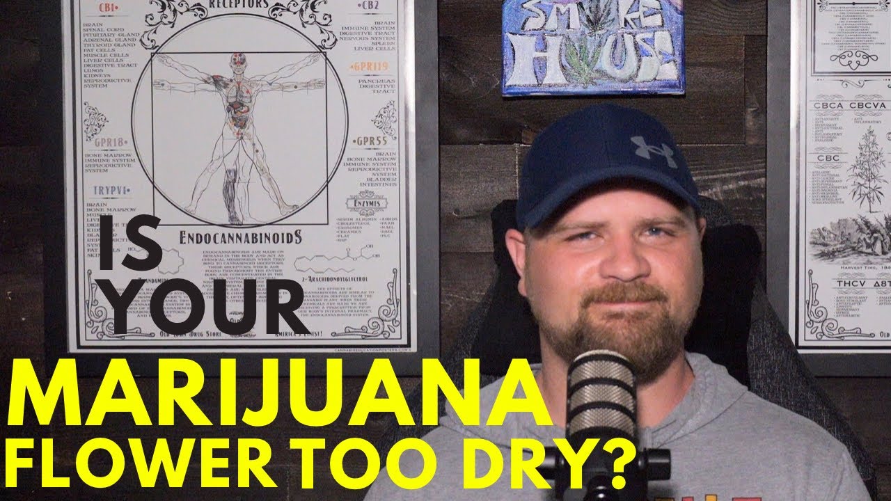 How to Rehydrate Dry Cannabis Flower and the Best Ways to Store It