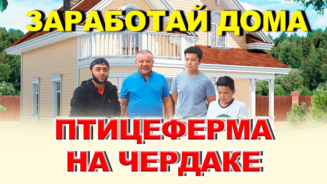 В Хозяйстве у Ерлана - Птице ферма на чердаке
