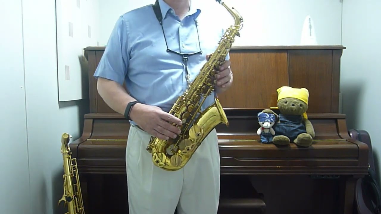 アルトサックスで演奏してみた　(Another Sky)