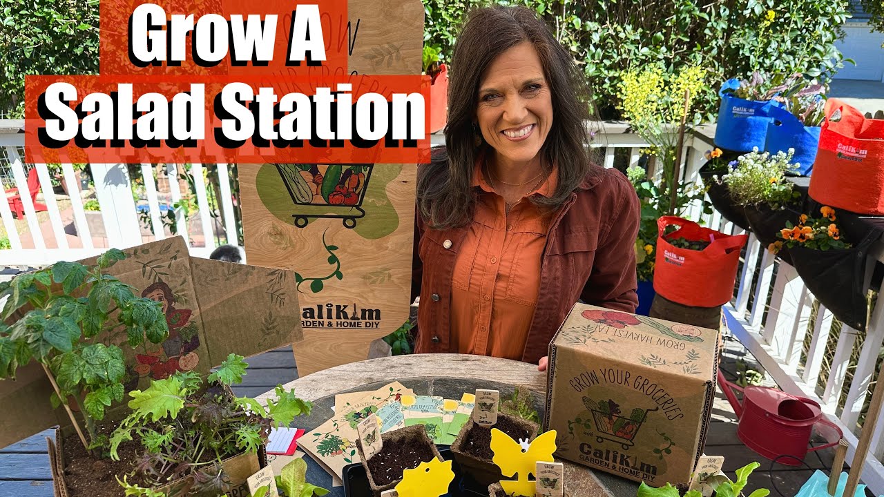 How to Grow Your Own Salad Station / Grow Your Groceries with CaliKim