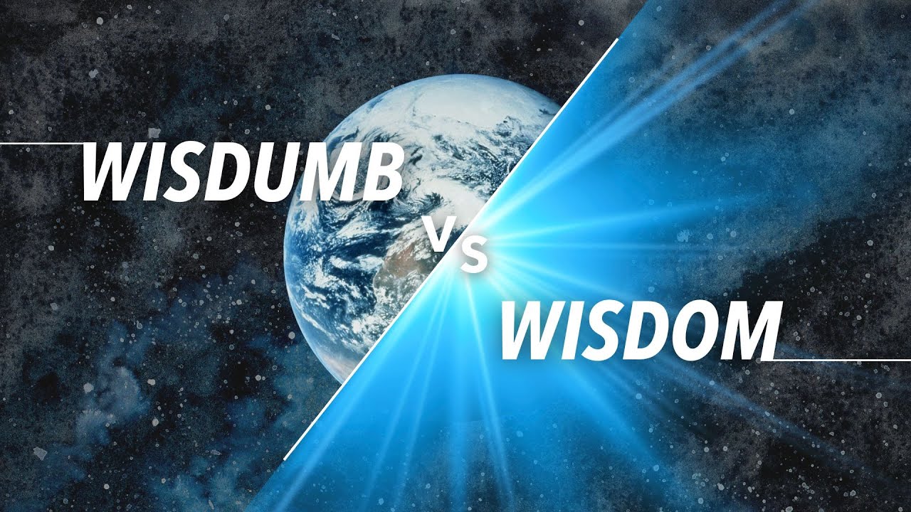 Wisdumb vs Wisdom Series - Week 1