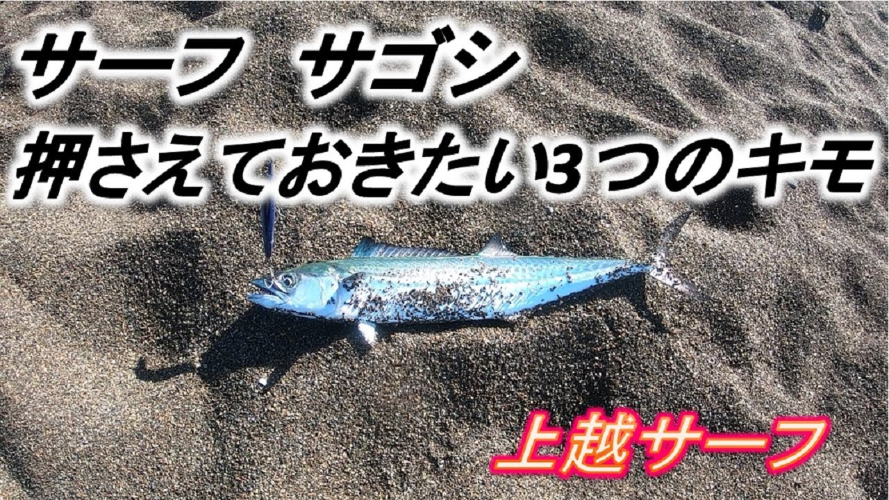 サーフ　サゴシ　押さえておきたい3つのキモ　上越サーフ