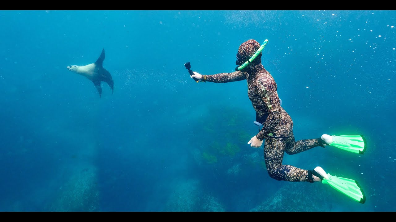 DMC Free Dive Adventure