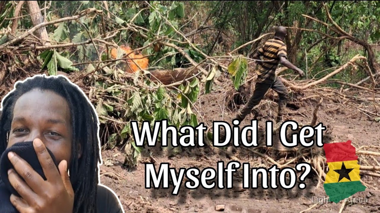 Building In Ghana🇬🇭| Swarm Of Bees Attack Us! | Clearing Forest Land