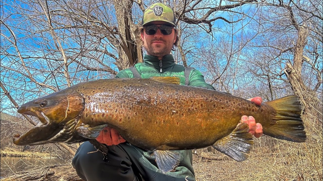 Fishing for GIANT BROWN TROUT on a LAKE MICHIGAN Tributary!
