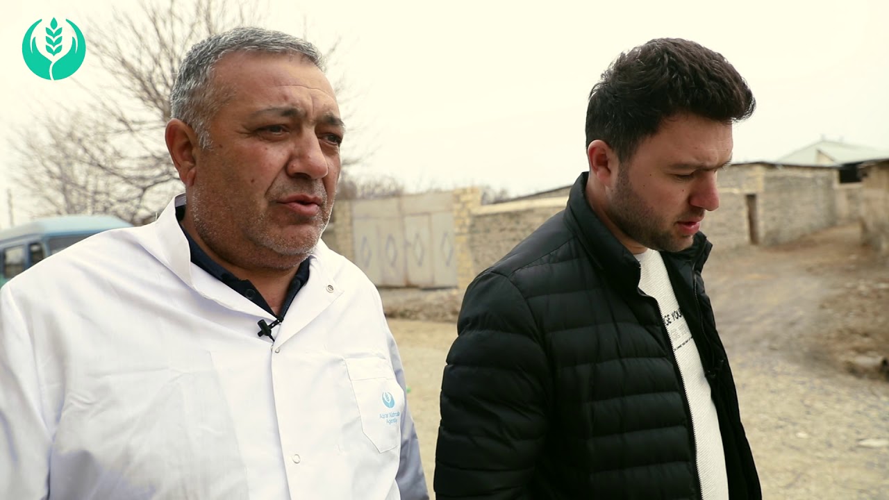 05.03.2020 / AXA | Samux rayonunda qarayara xəstəliyi ilə bağlı maarifləndirici sorğu keçirilib