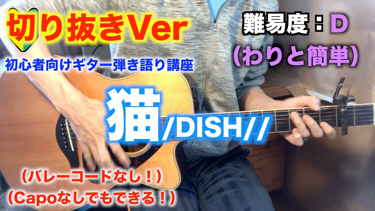 【切り抜き】猫/DISH//の初心者向けギター弾き語り講座【コード】