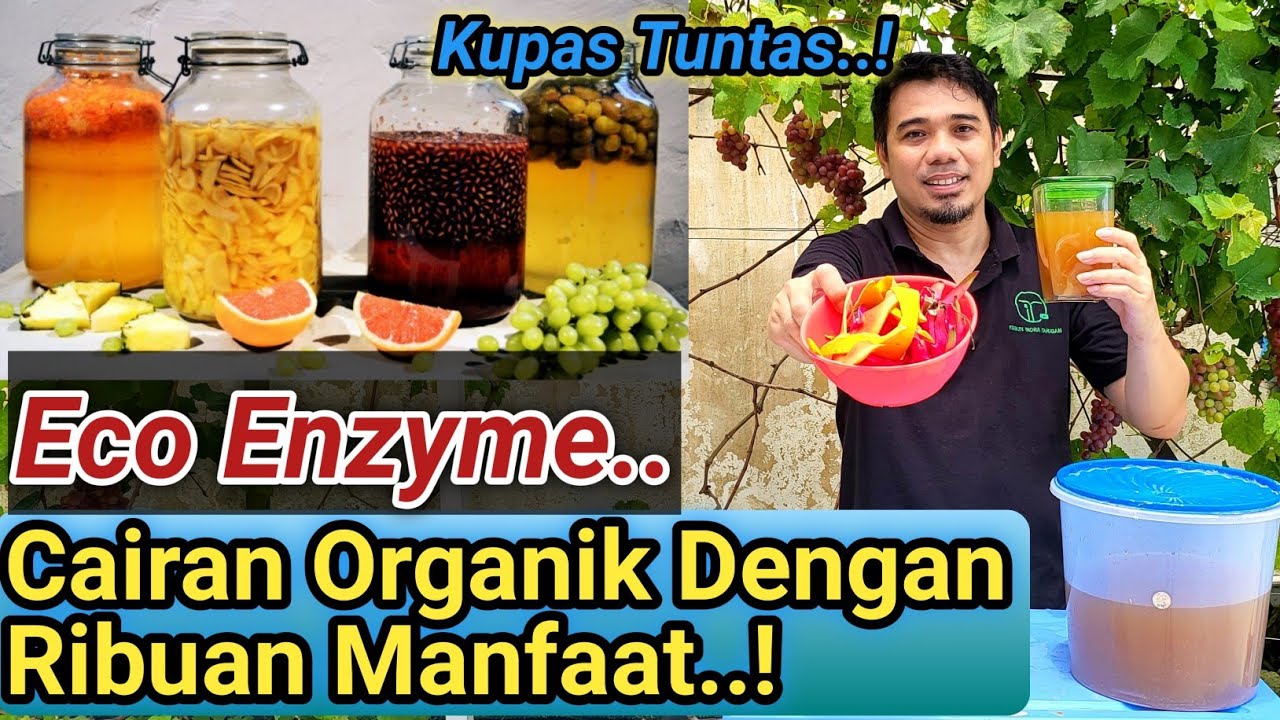 Eco Enzyme - Cara Mengolah Sampah Jadi Berkah.! Panduan Cara Membuat dan Menggunakan Eco Enzyme,