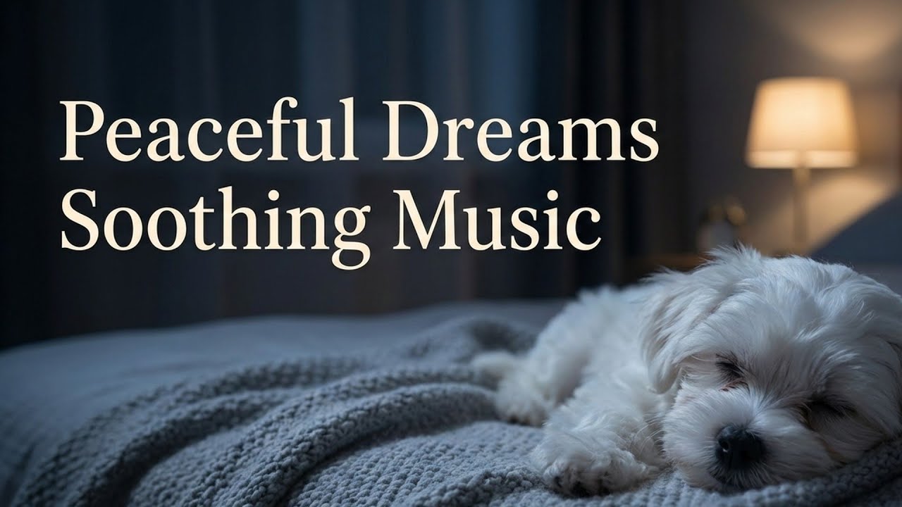 Peaceful Dreams Soothing Music: Adongis Healing Haven of Rest