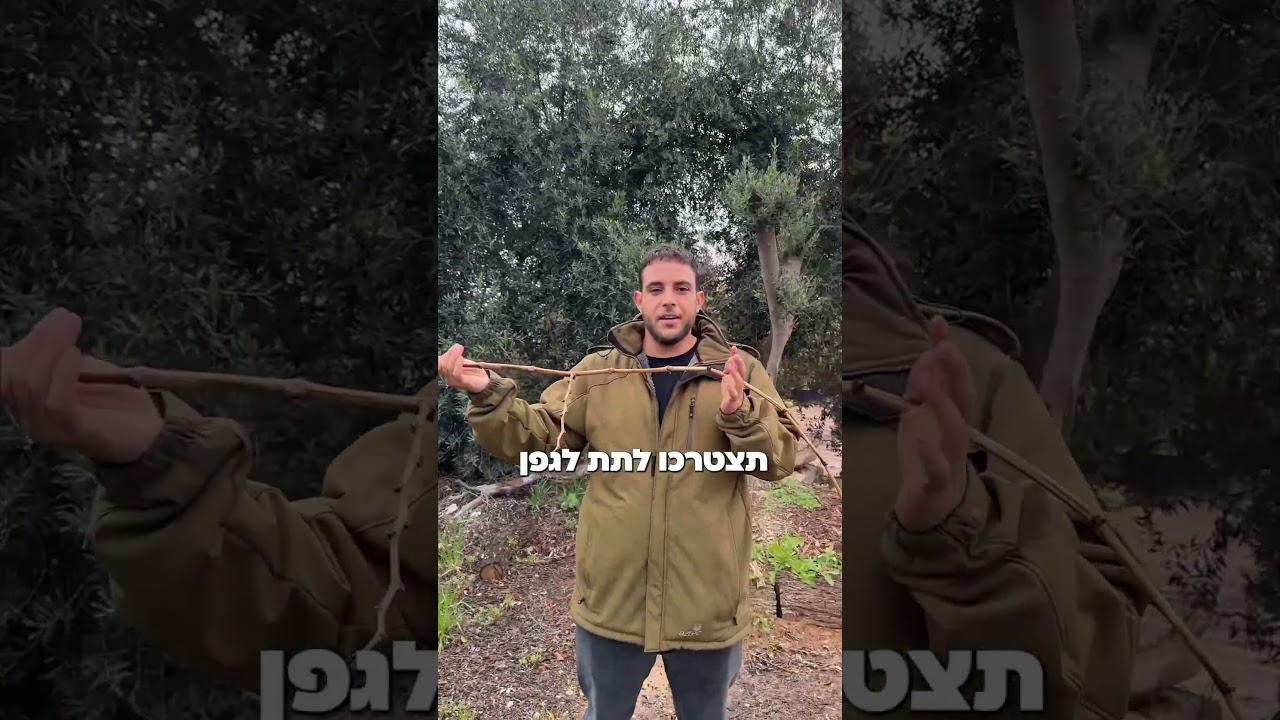 הטעות הכי גדולה שאתם עושים בגפנים שלכם. #גפנים #משתלה