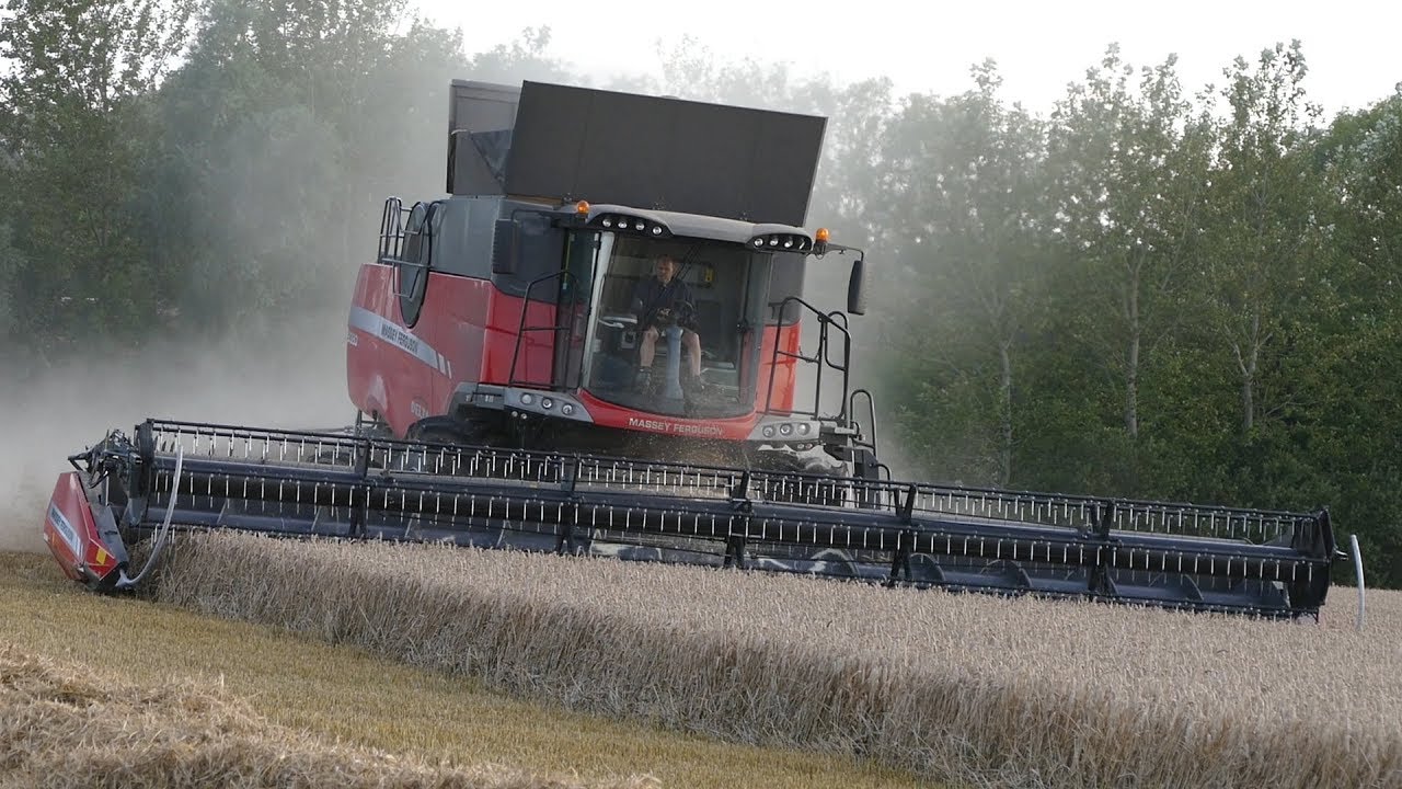 Massey Ferguson 9380 Delta Harvesting Wheat on a Danish Summer Evening | Danish Agriculture 2017