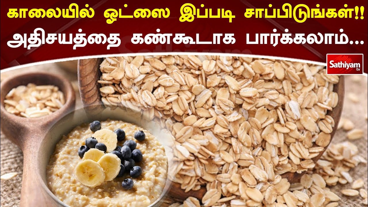 காலையில் ஓட்ஸை இப்படி  சாப்பிடுங்கள்!!  அதிசயத்தை கண்கூடாக பார்க்கலாம் | oats | Web Special