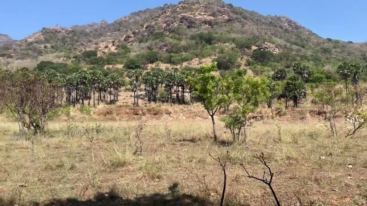 4.30 Acres land sale Thuvarankadu,Nagercoil,Kanyakumari district