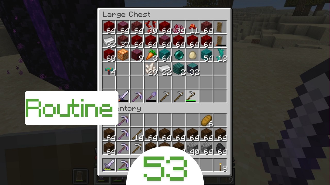 Minecraft #53 - Routine