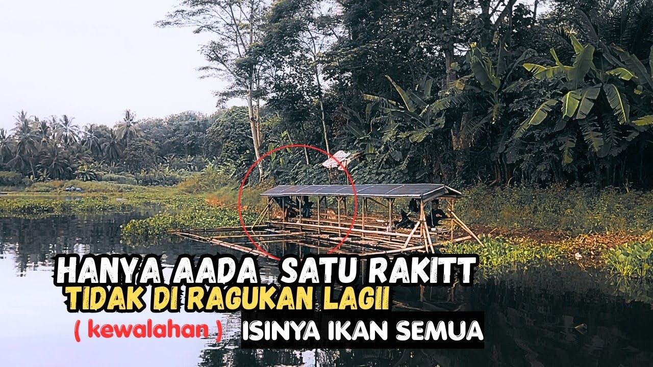 TIDAK DIRAGUKAN LAGI ISINYA IKAN SEMUA SAMPE KAWALAHAN | MANCING MANIA
