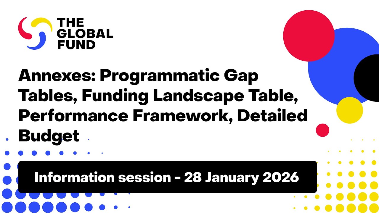 Annexes: Programmatic Gap Tables, Funding Landscape Table, Performance Framework, Detailed Budget