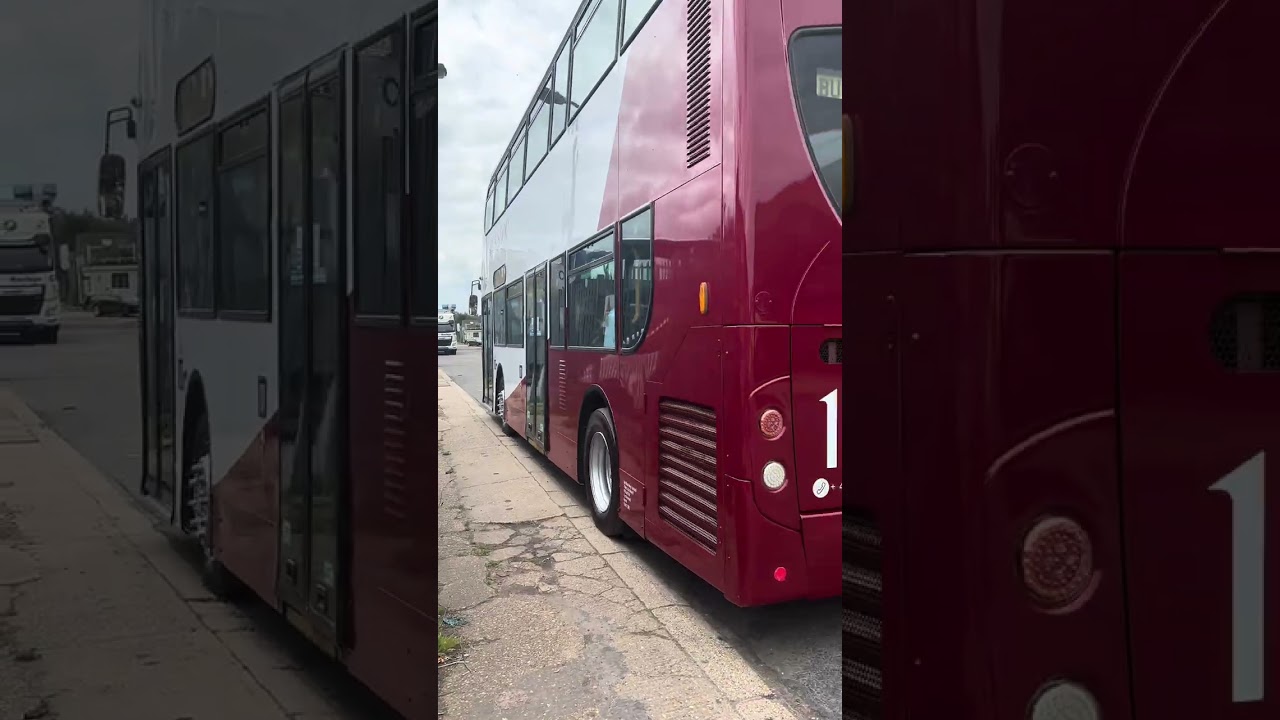 Buses 2025!!!! 
