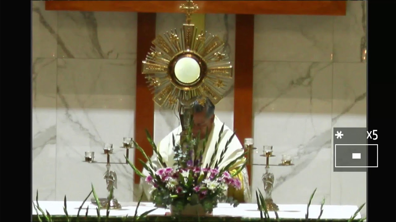 EN VIVO: Hora Santa