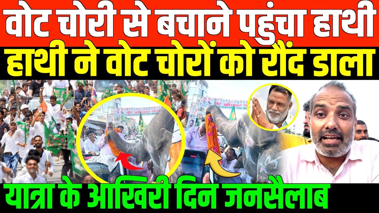 यात्रा में हाथी ने वोट चोरों को रौंद डाला/HUGE CROWD GATHERED IN VOTER ADHIKAR YATRA BY SHAMBHU