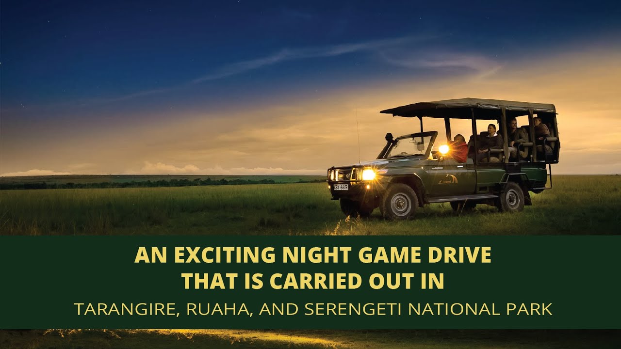 An Exciting Night Game Drive That is  Carried Out in #tarangire, #Ruaha, and Serengeti National Park