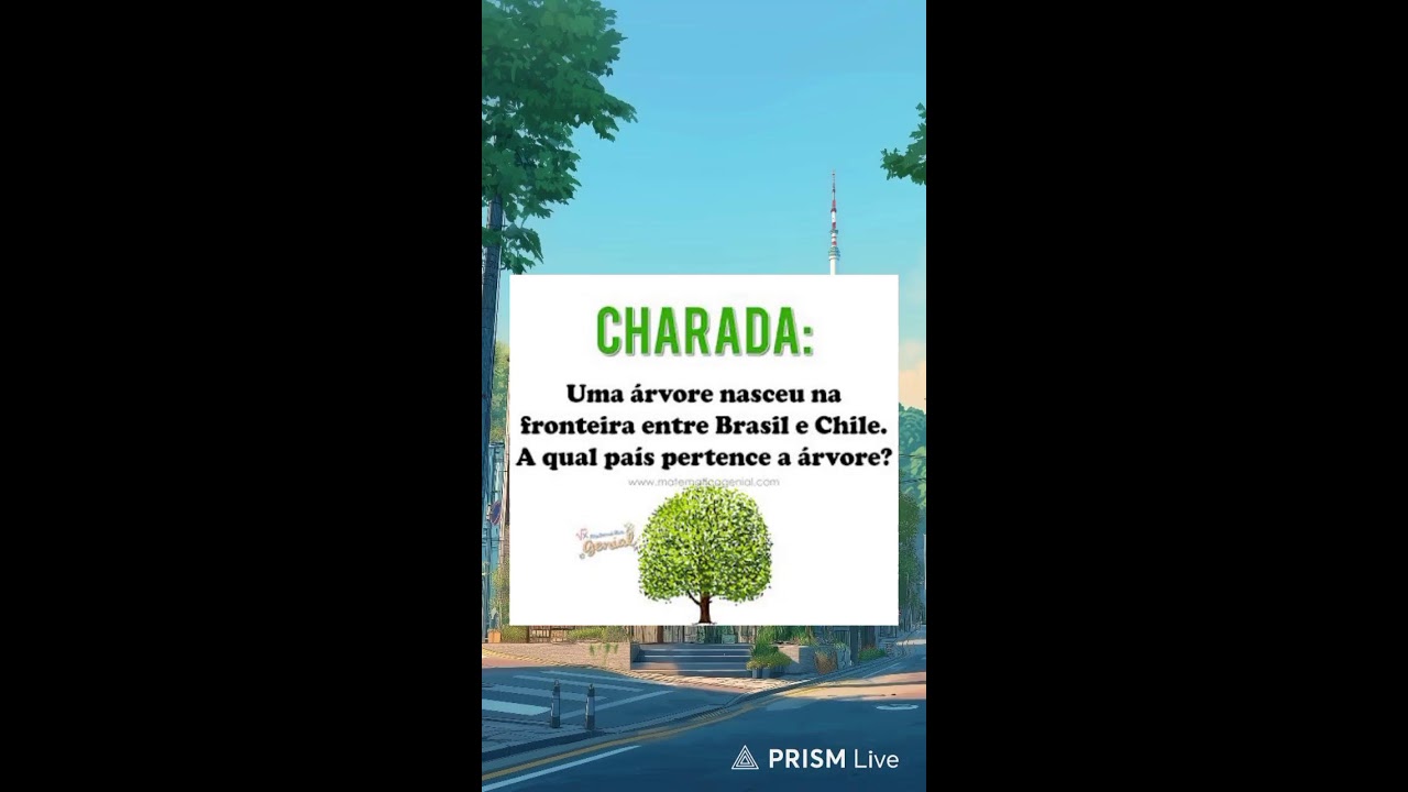 Vamos de charada nesta tarde, Live...