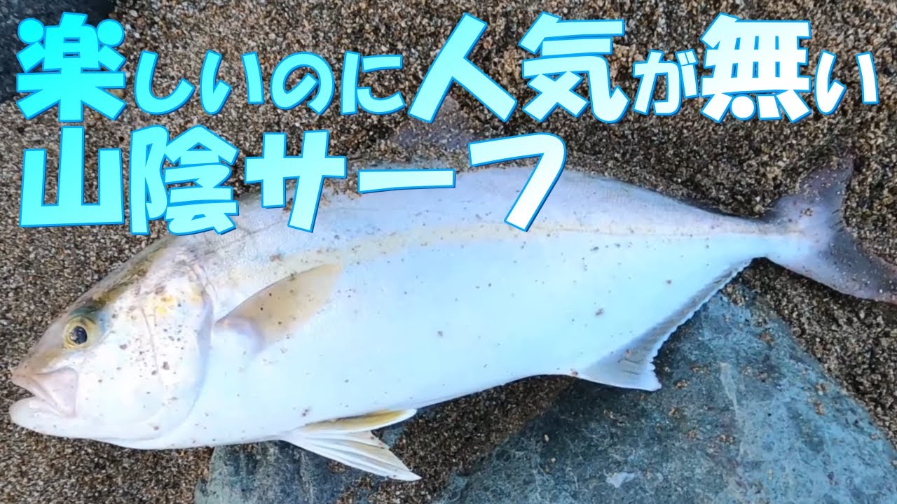マゴチの釣れない水温２８℃の海にアオモノキャッチャーを投げたら