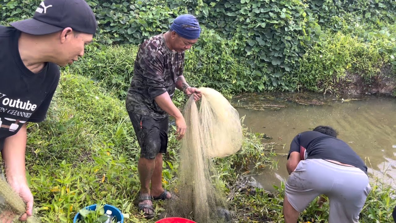 Menjala Udang & Dapat Seekor Kura2 ( Part 2 ) 
