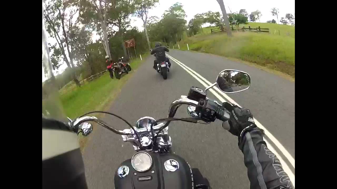 HD Street Bob