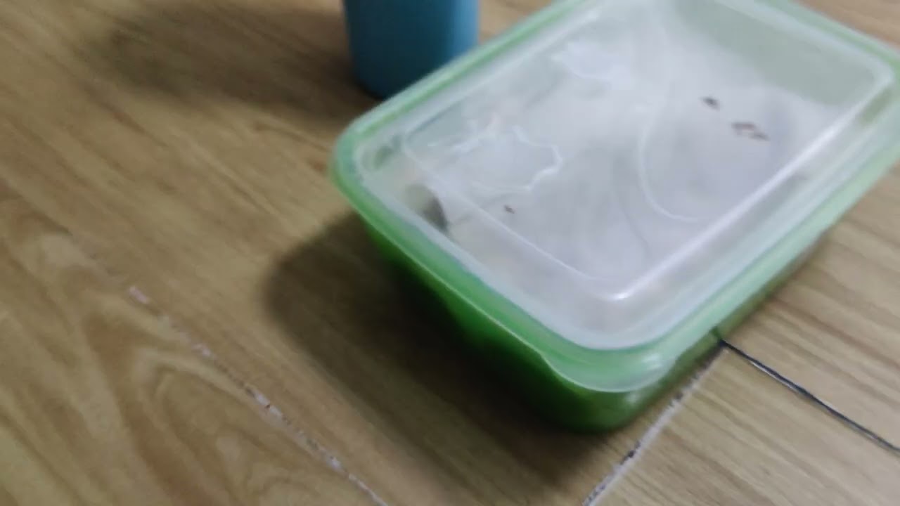 Cookies in the box