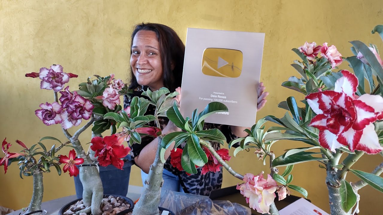 O GRANDE PRÊMIO RECEBIDO DO YOUTUBE.