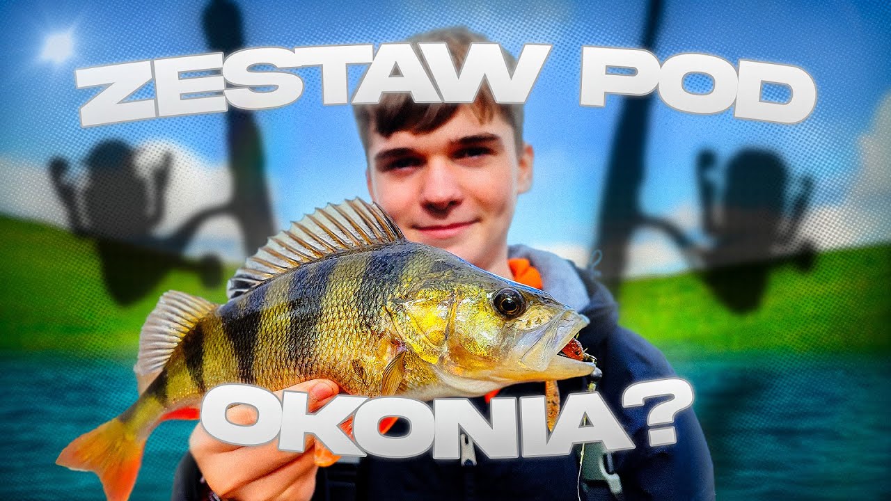 Jaki pierwszy zestaw na Okonia? | Jaką okoniówkę wybrać | Dżejsiok