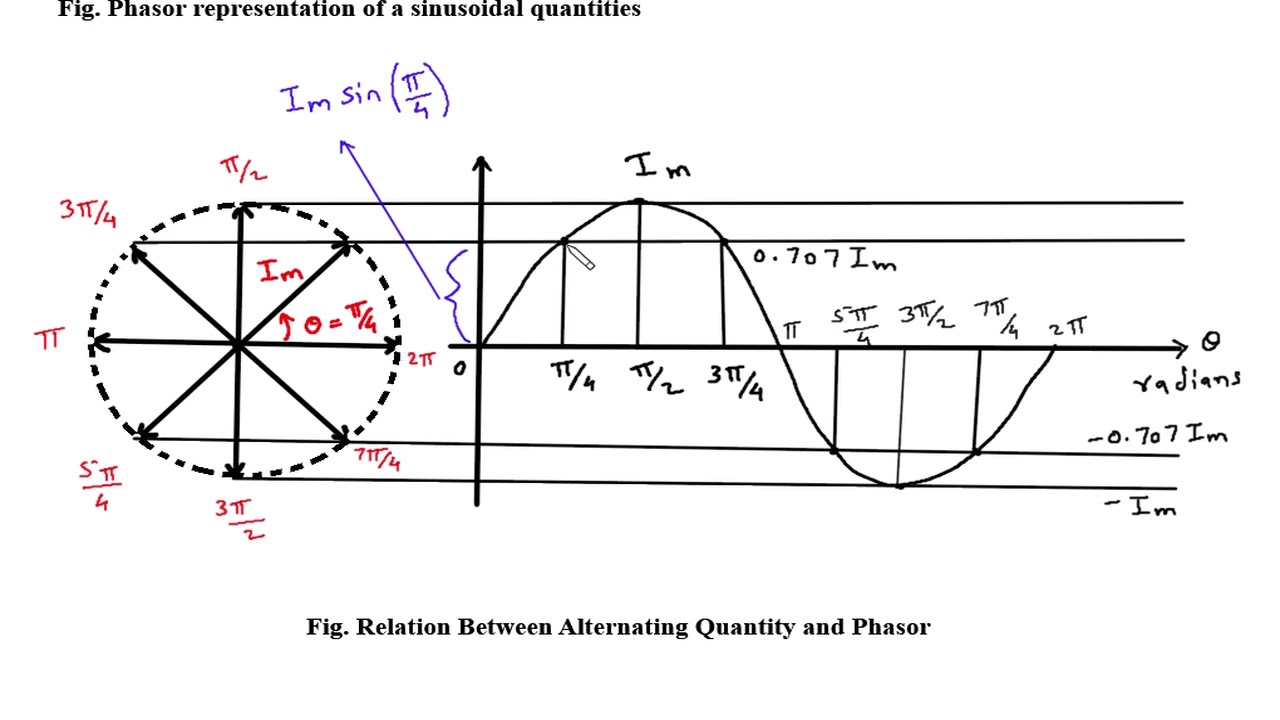 Phasor representation of an alternating quantity | Electrical Engineering