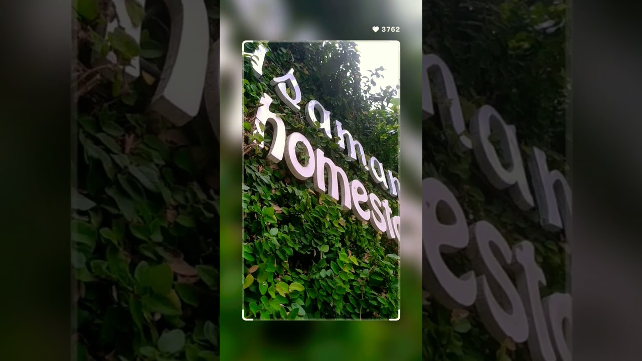 Watusaman Homestay Family Yogyakarta #homestay #jogja #watusaman