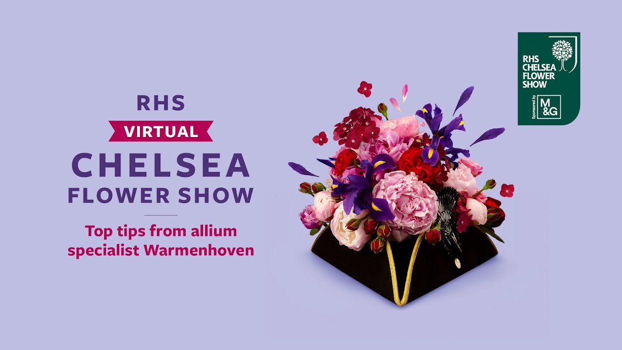Top tips from allium specialist Warmenhoven | RHS Virtual Chelsea 2021