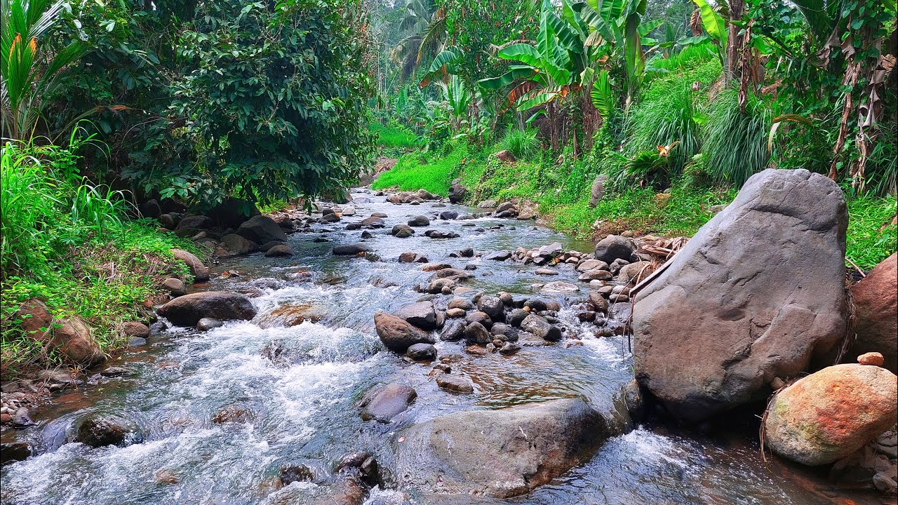 Relax Beside a Clear River with Rocks and Forest &ndash; Calming Nature Sounds for Rest & Sleep Instantly