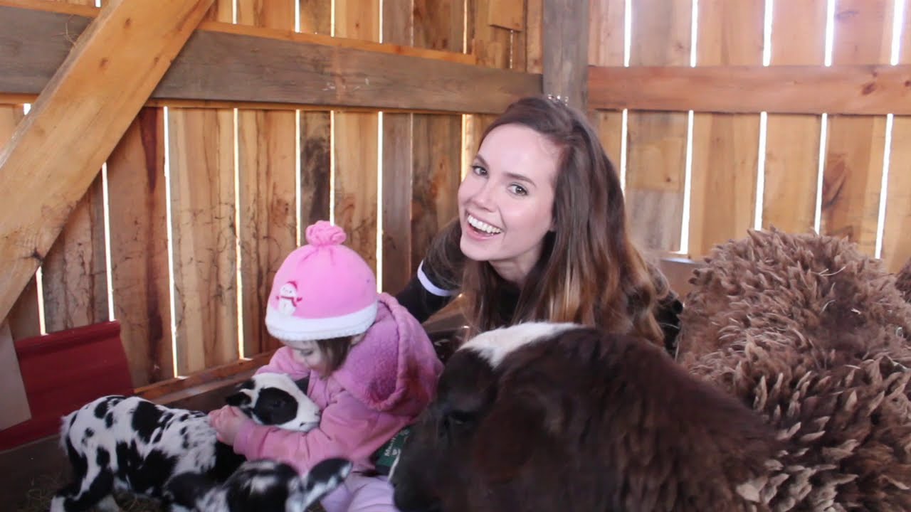 Mobile Sheep Pen Build