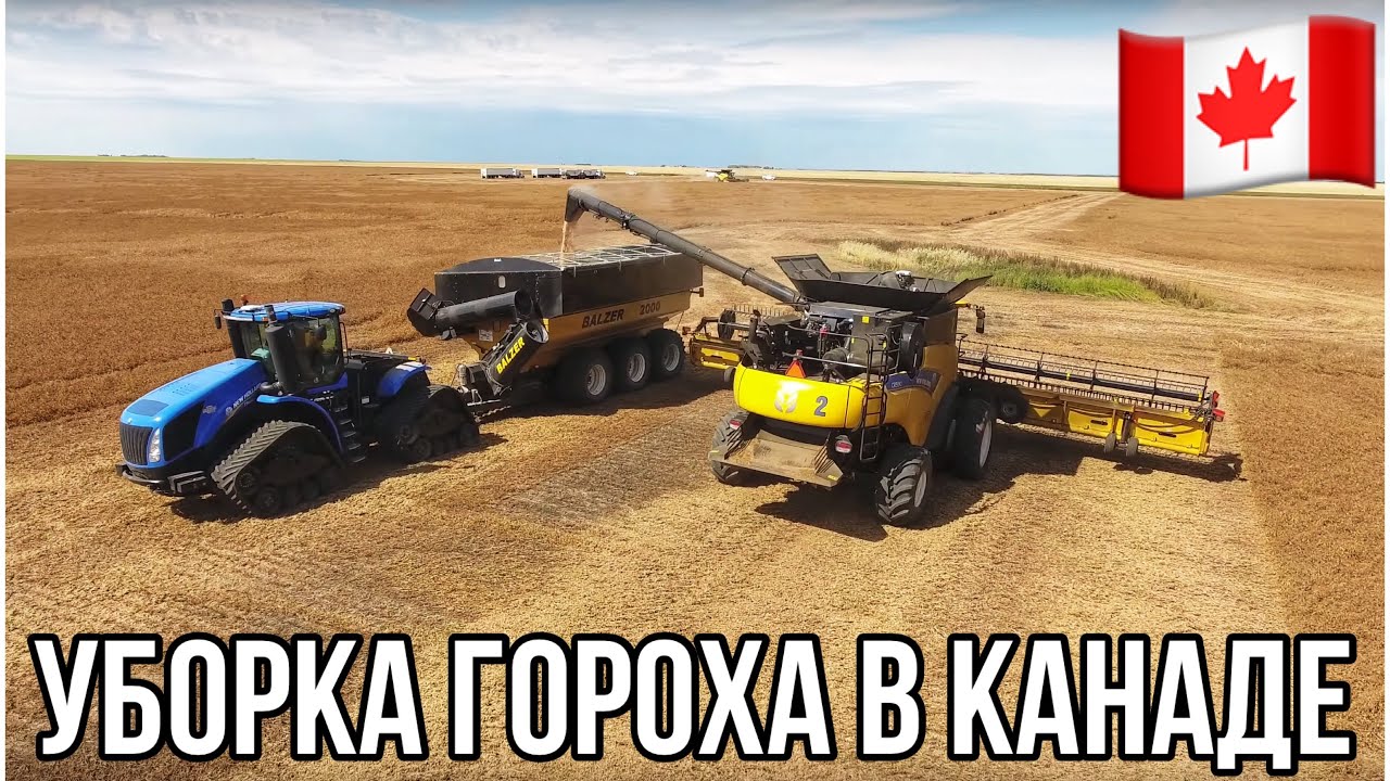 УБОРКА ГОРОХА В КАНАДЕ🇨🇦. Саскачеван. Канада глазами украинца. #MYAGROTOURS