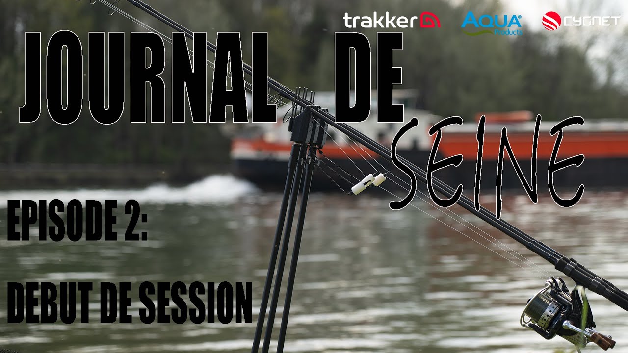 Journal de pêche en Seine #2 : je débute la pêche