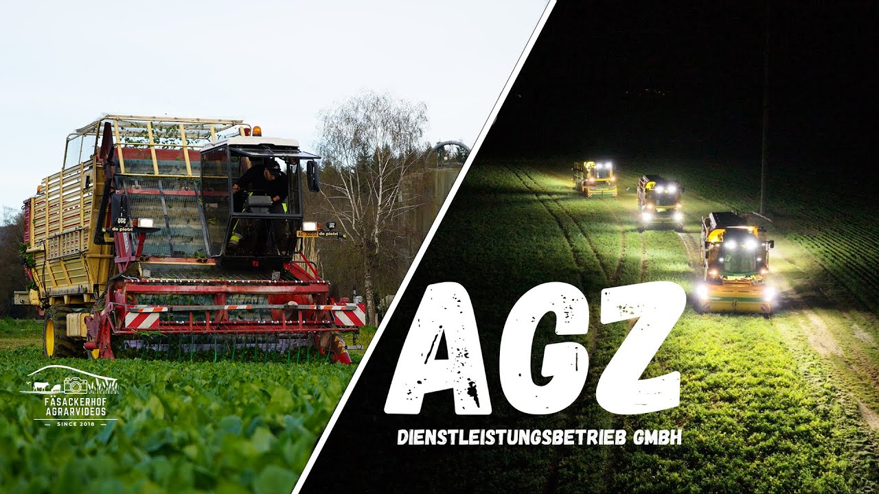 Wie wird Industriegemüse geerntet und verarbeitet?| Firmenportrait AGZ| Spinat, Erbsen& Bohnenernte!