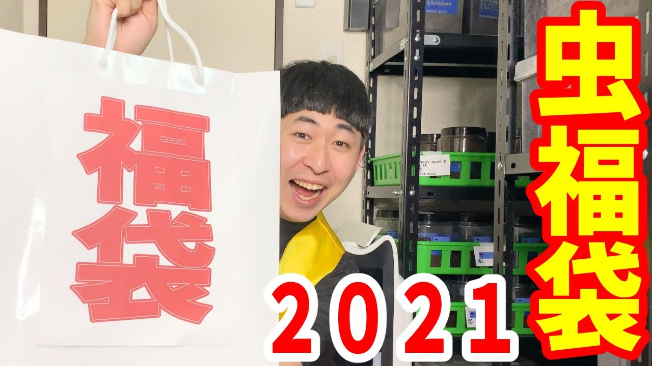 ２万円のカマキリ福袋を開封したら衝撃の結果！！！