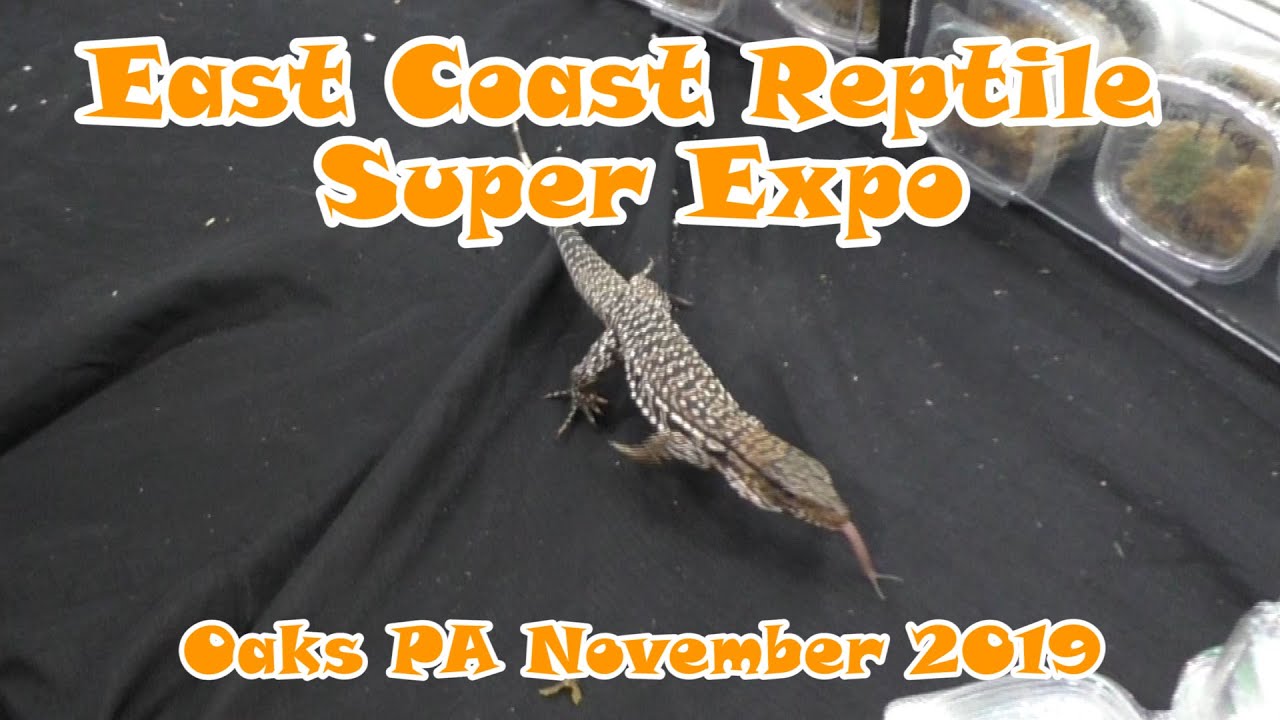East Coast Reptile Super Expo at Oaks November 2019
